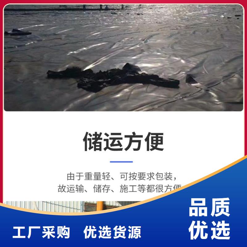 土工膜,土工HDPE膜实体厂家支持定制
