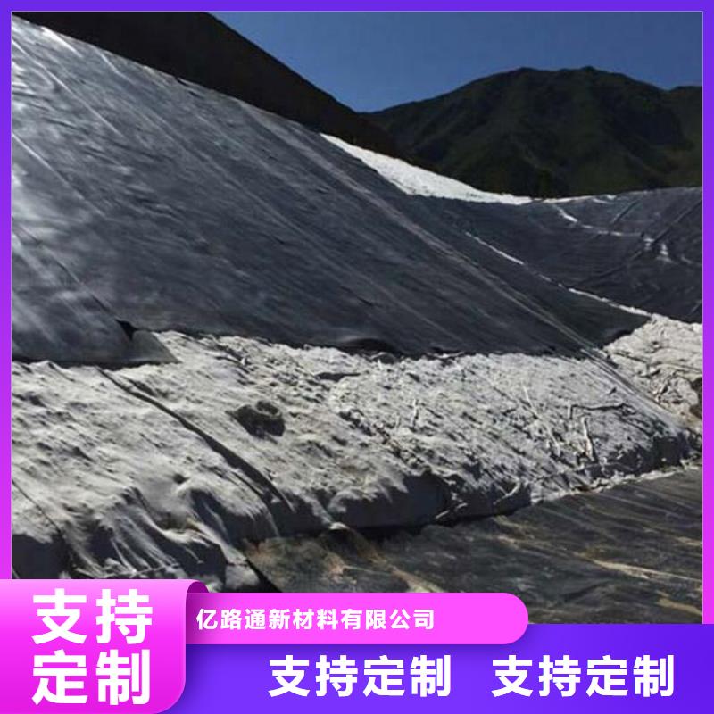 土工膜-塑料土工格栅畅销本地