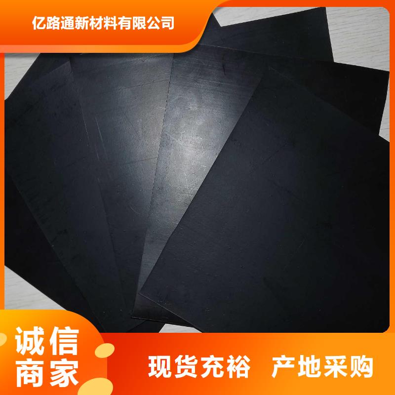 土工膜-塑料土工格栅畅销本地