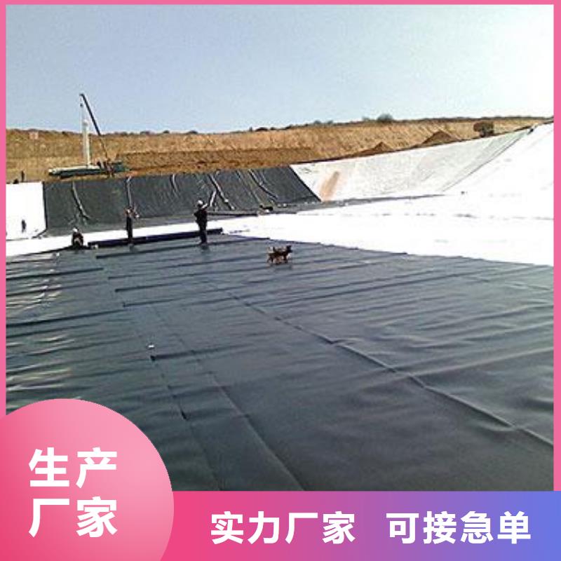 土工膜-钢塑土工格栅品质做服务