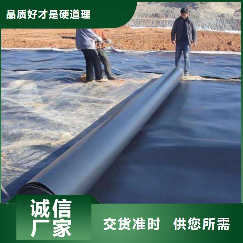 土工膜,土工HDPE膜实体厂家支持定制