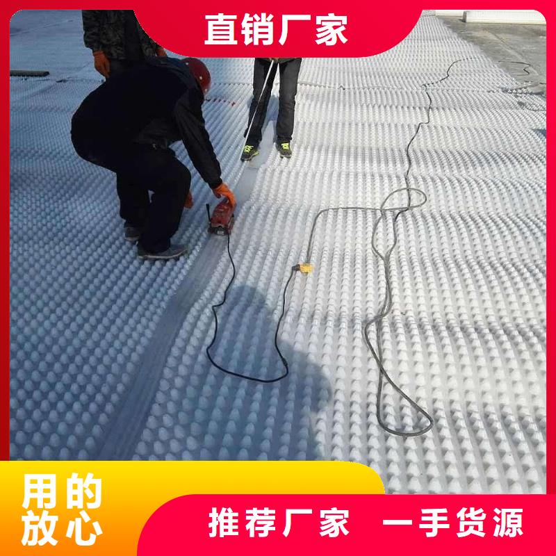 塑料排水板养护土工布品质优选
