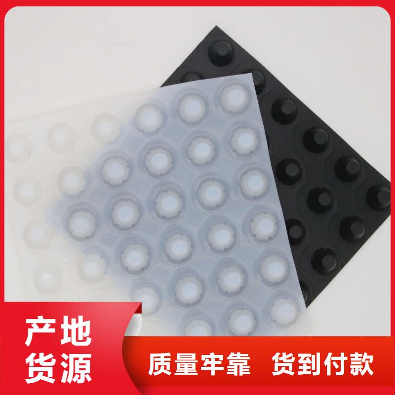 塑料排水板养护土工布品质优选