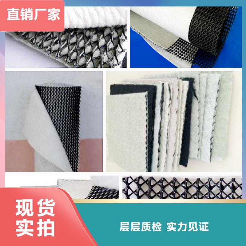 三维复合排水网【三维土工网垫】生产厂家
