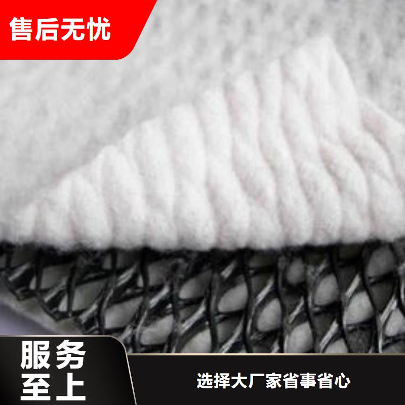 三维复合排水网HDPE土工膜生产安装