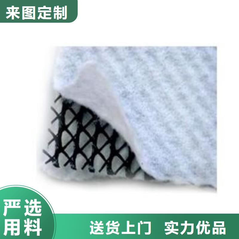 三维复合排水网塑料土工格栅今日价格