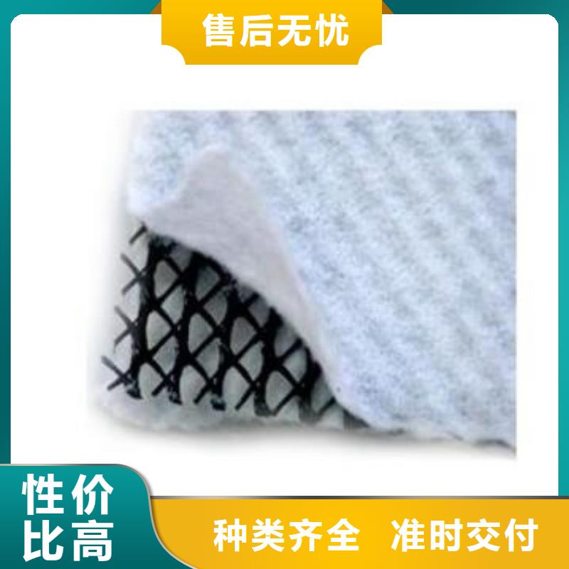 三维复合排水网【三维土工网垫】生产厂家