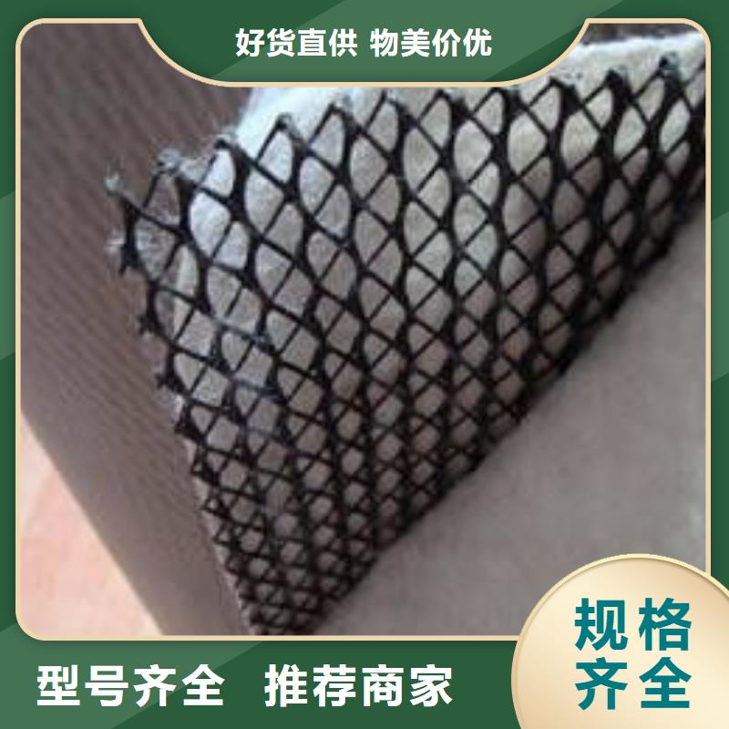 三维复合排水网复合土工膜热销产品