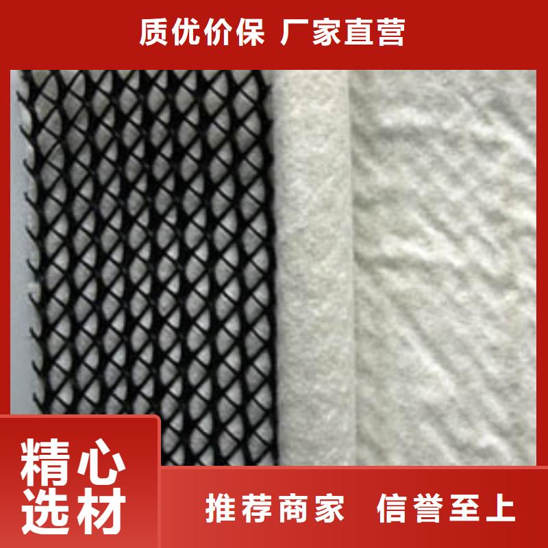 三维复合排水网【三维土工网垫】生产厂家