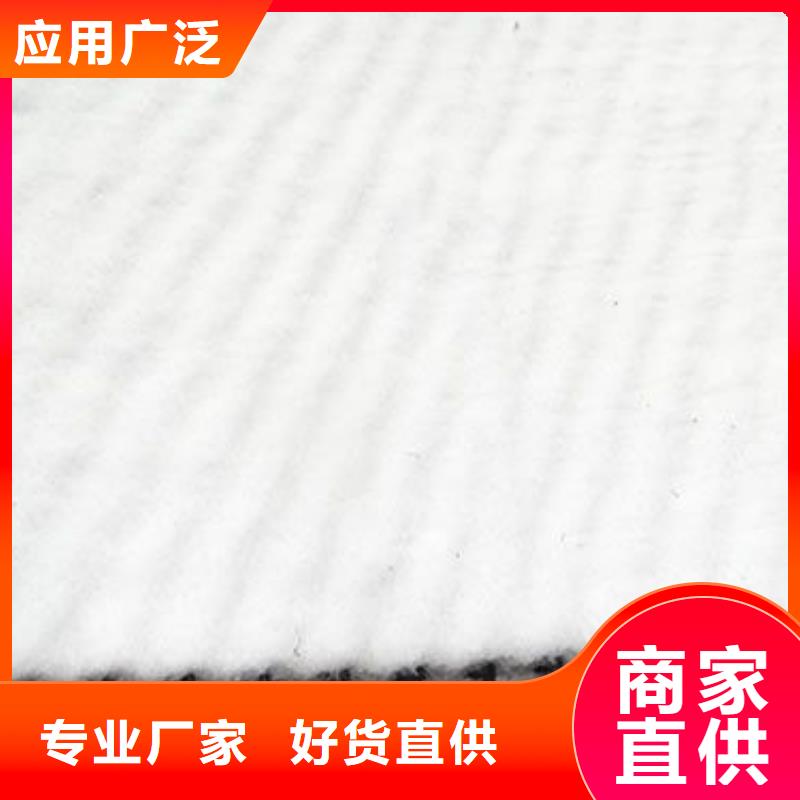 三维复合排水网复合土工膜热销产品