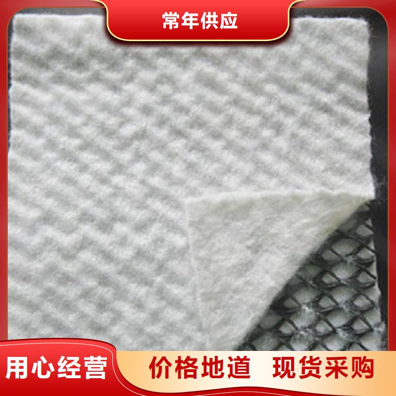 三维复合排水网【三维土工网垫】生产厂家
