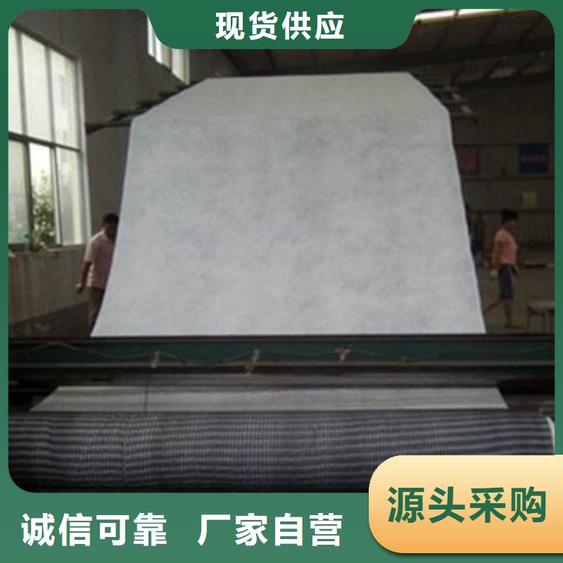 三维复合排水网【三维土工网垫】生产厂家