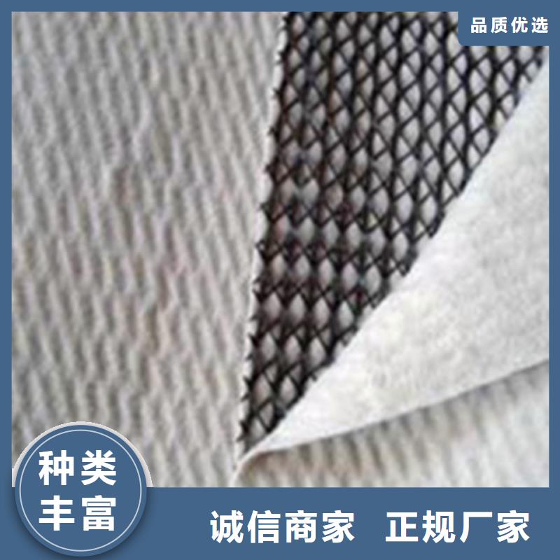三维复合排水网【三维土工网垫】生产厂家