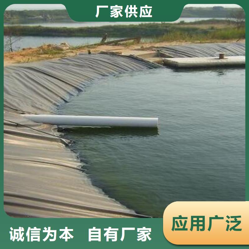 土工膜-土工格室商家