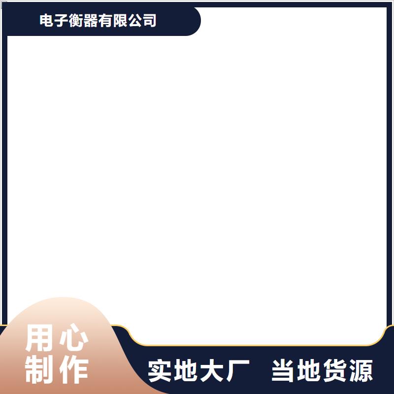 电子皮带秤服务好