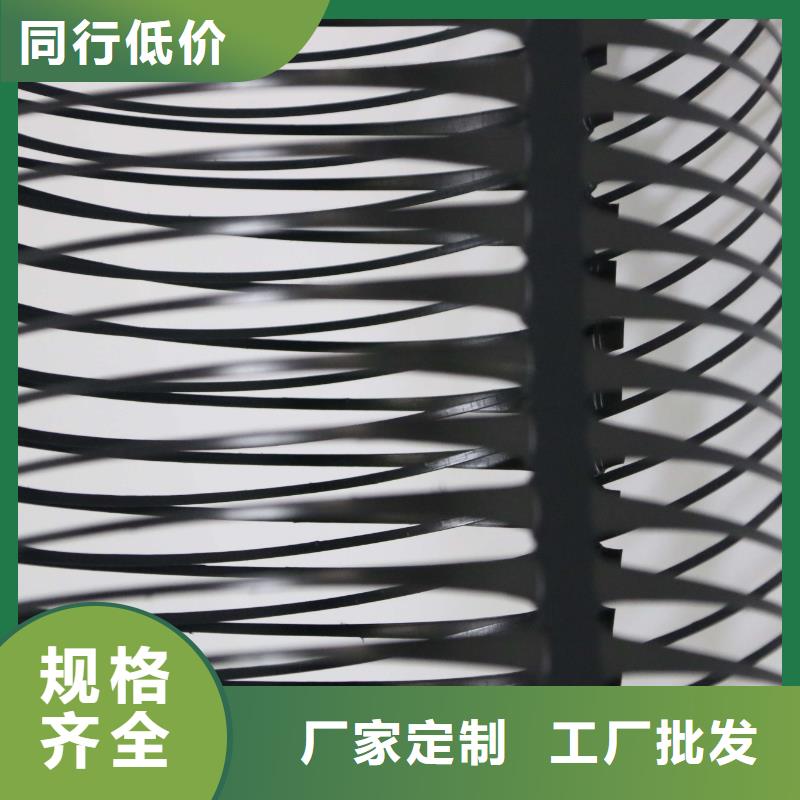 单向拉伸塑料格栅-钢塑土工格栅本地厂家值得信赖