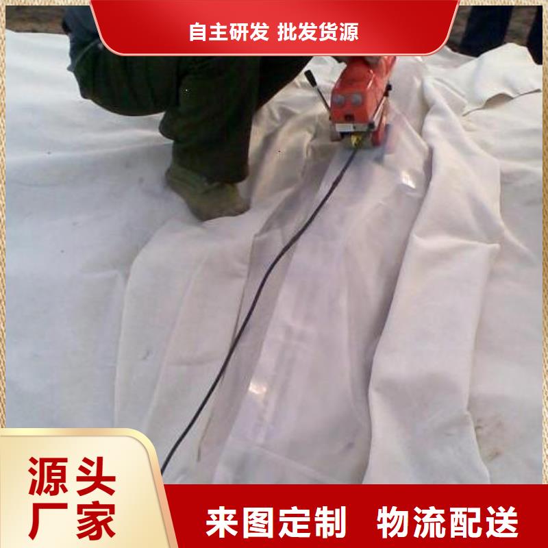 【土工膜】膨润土防水垫匠心制造
