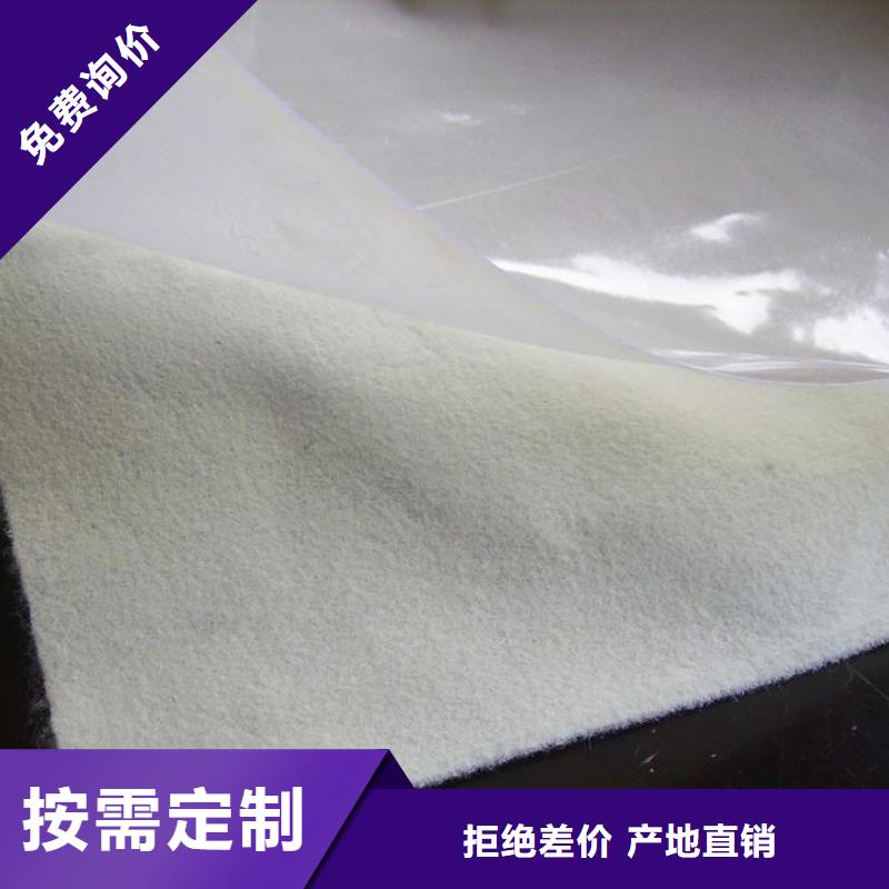 土工膜钢塑土工格栅产品参数