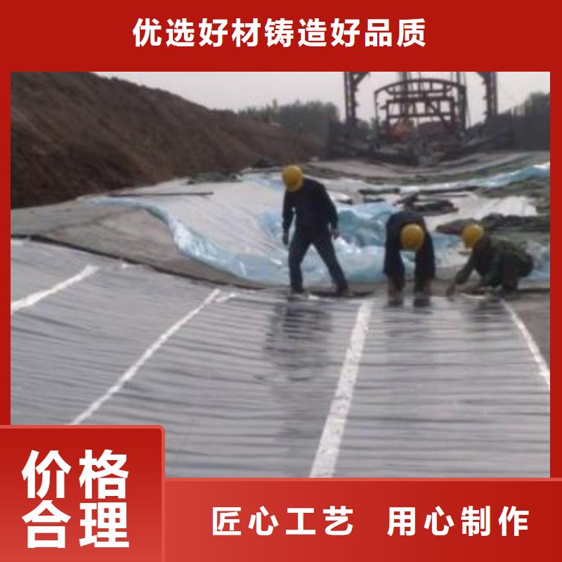 土工膜钢塑土工格栅产品参数