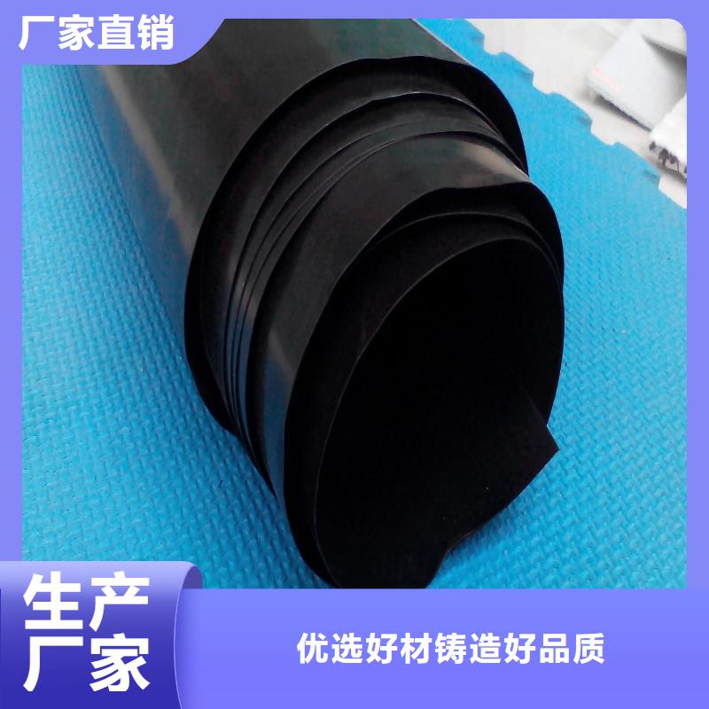 【土工膜钢塑土工格栅供您所需】