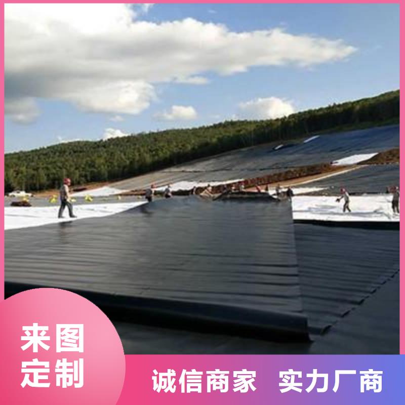 【土工膜钢塑土工格栅供您所需】