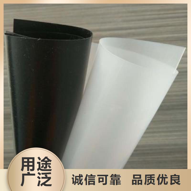【土工膜】膨润土防水垫匠心制造
