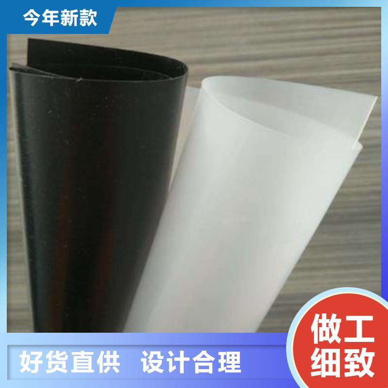 土工膜涤纶土工格栅货真价实
