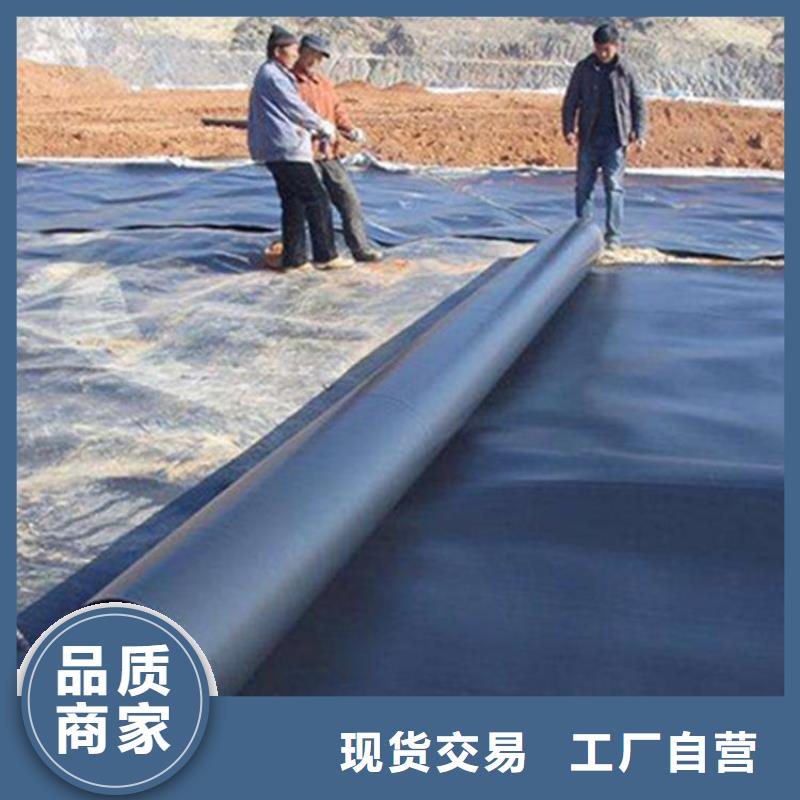 土工膜,三维植被网厂家直发
