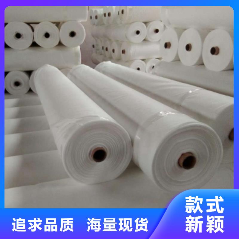 土工布单向塑料土工格栅同行低价