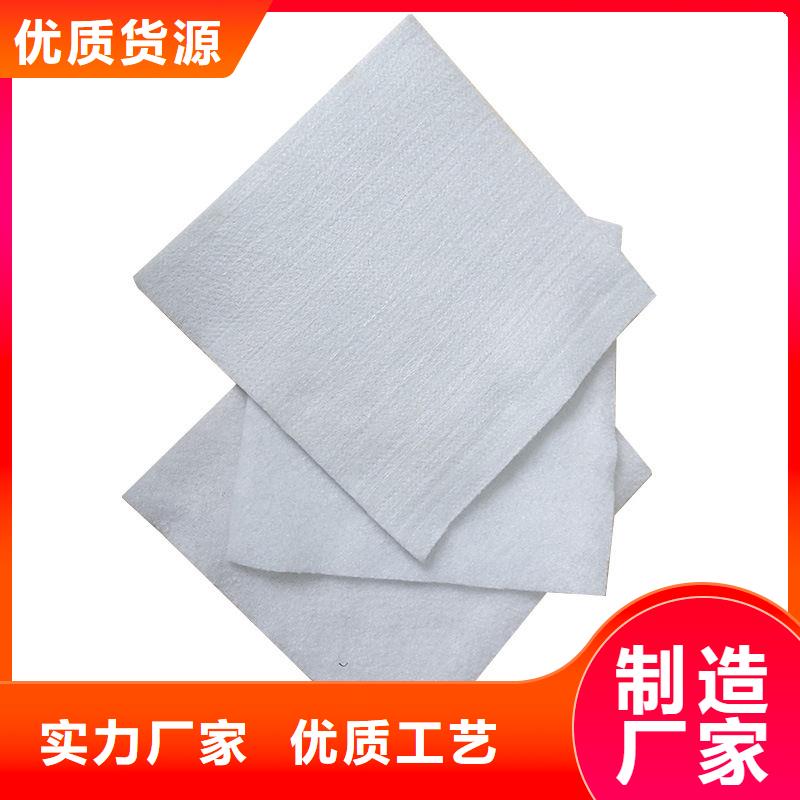 土工布复合土工膜颜色尺寸款式定制