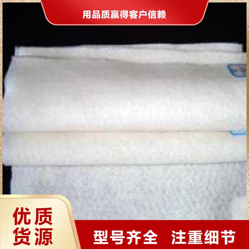 土工布单向塑料土工格栅同行低价