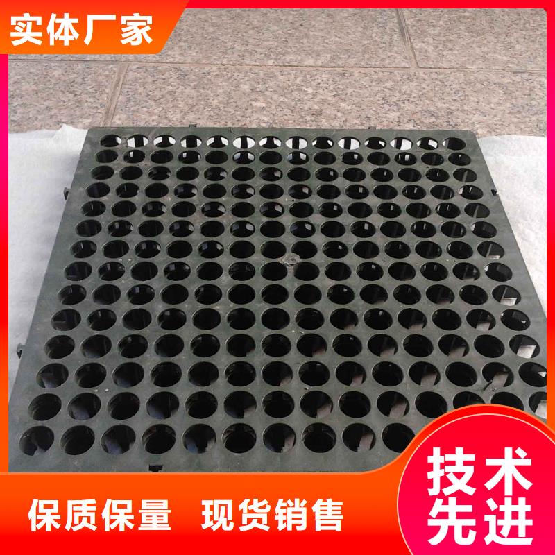 【蓄排水板_膨润土防水毯常年出售】