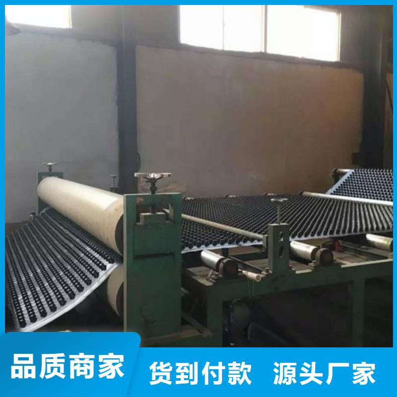 蓄排水板单向拉伸塑料格栅检验发货