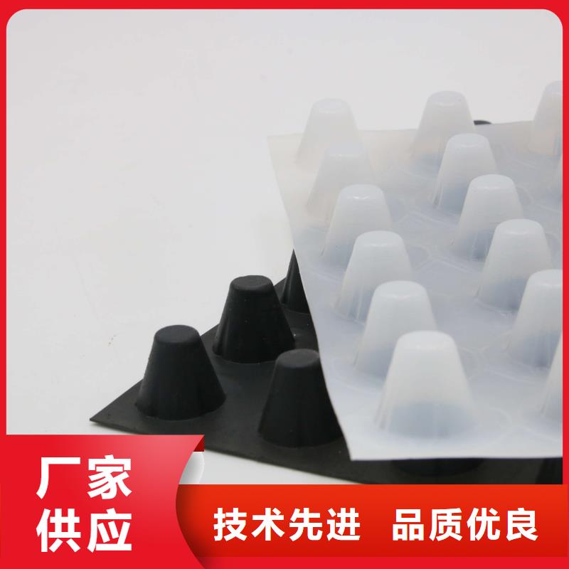 【蓄排水板土工格室应用广泛】