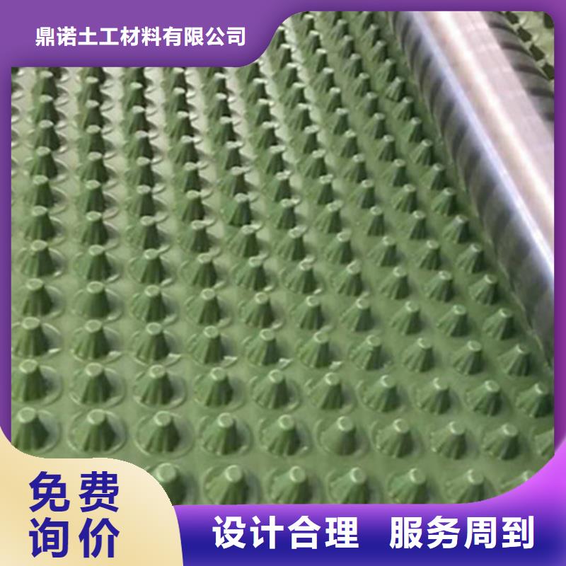 蓄排水板,钢塑土工格栅产地源头好货