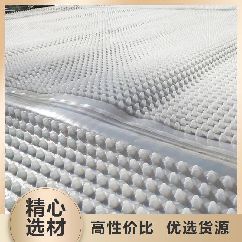 蓄排水板渗排水片材源头直供