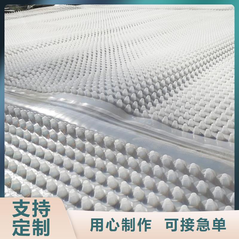 【蓄排水板_膨润土防水毯常年出售】