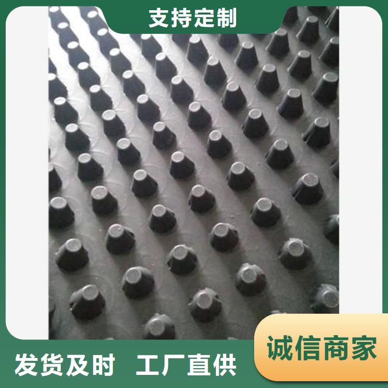 蓄排水板,长丝土工布诚信经营现货现发