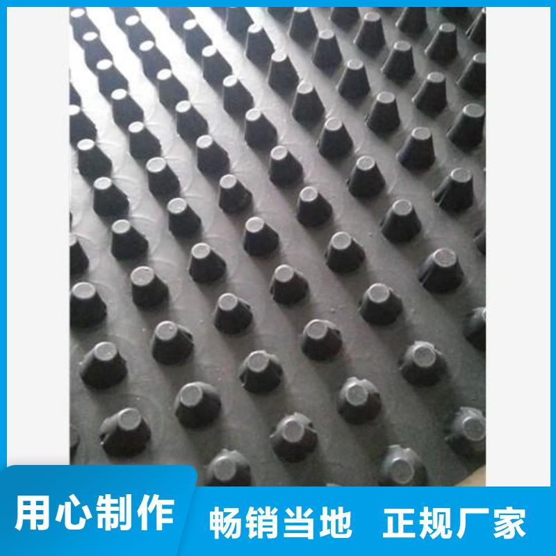 【蓄排水板_膨润土防水毯常年出售】