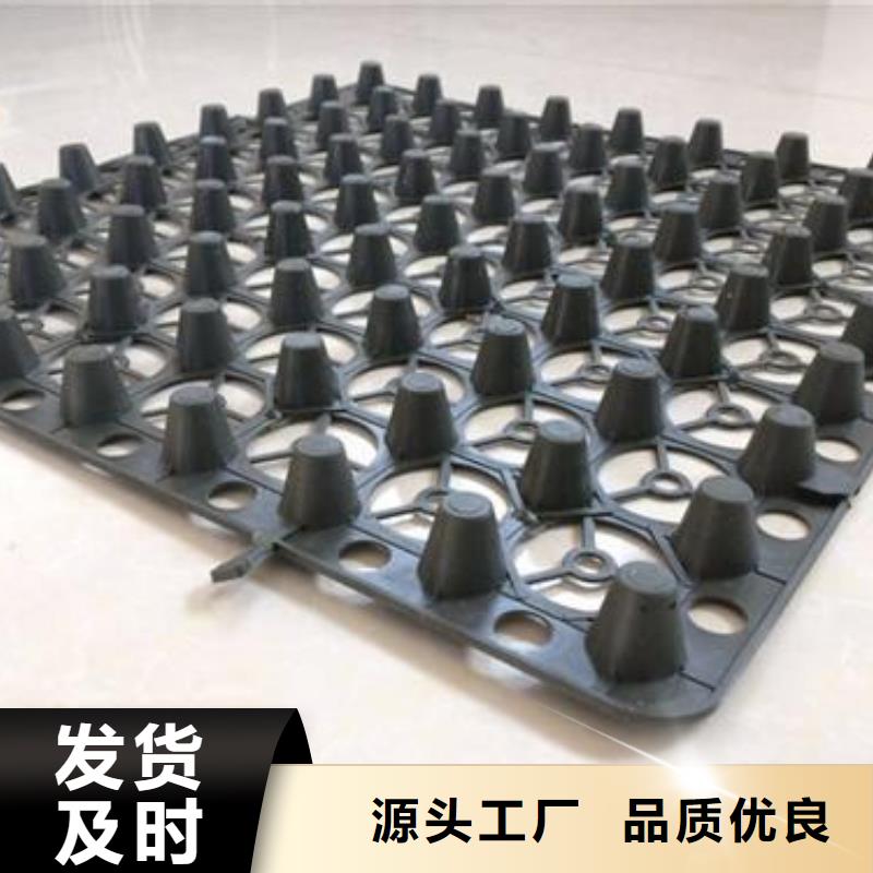 【蓄排水板土工格室应用广泛】