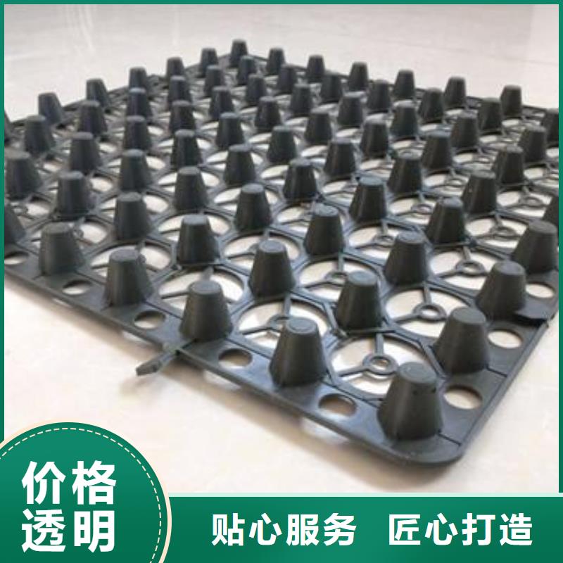 蓄排水板渗排水片材源头直供