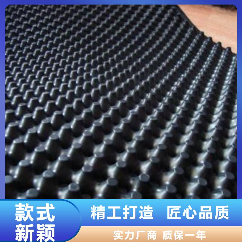 蓄排水板渗排水片材源头直供