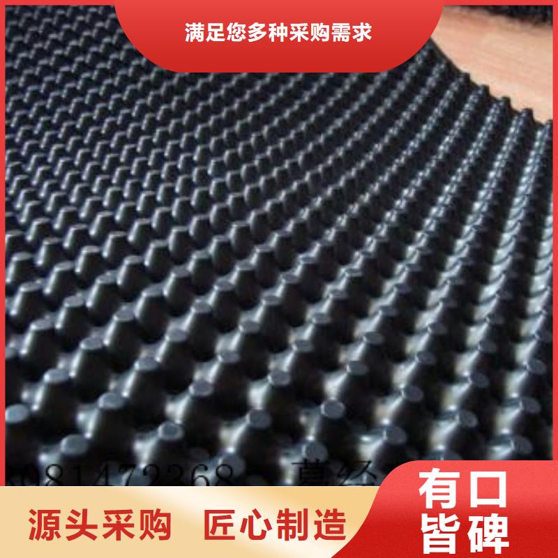 【蓄排水板】_三维土工网垫严选用料