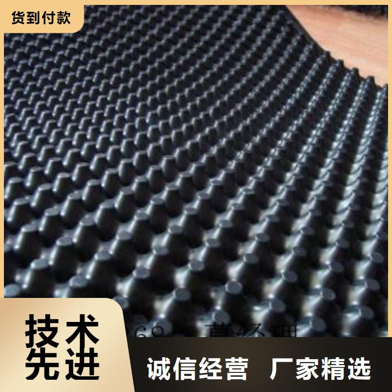 【蓄排水板_膨润土防水毯常年出售】