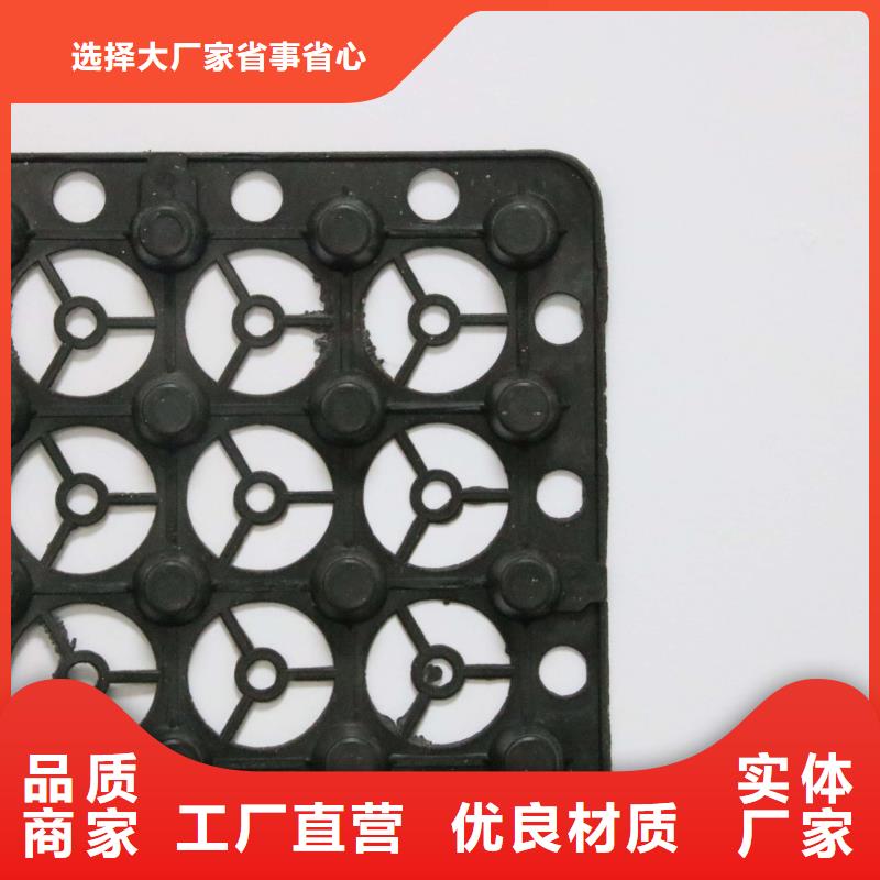 【蓄排水板】_三维土工网垫严选用料