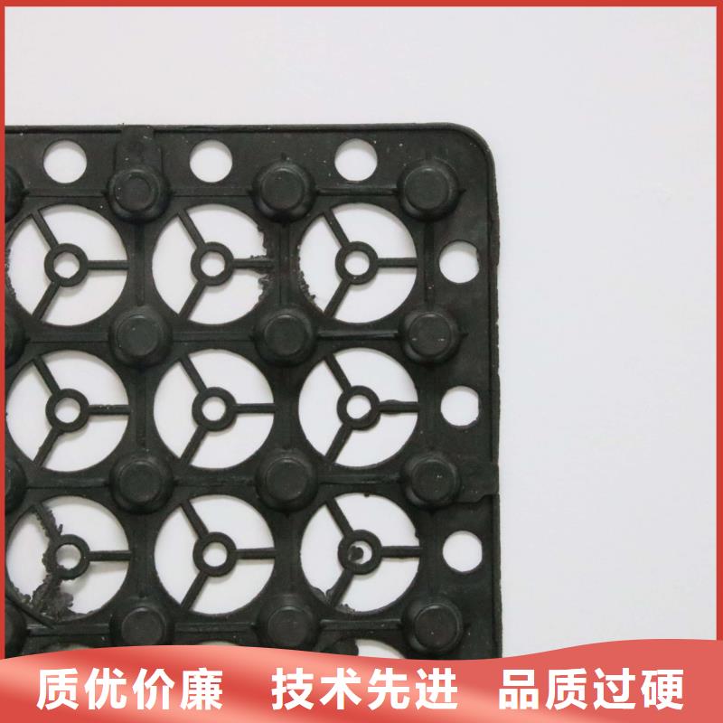 【蓄排水板_膨润土防水毯常年出售】