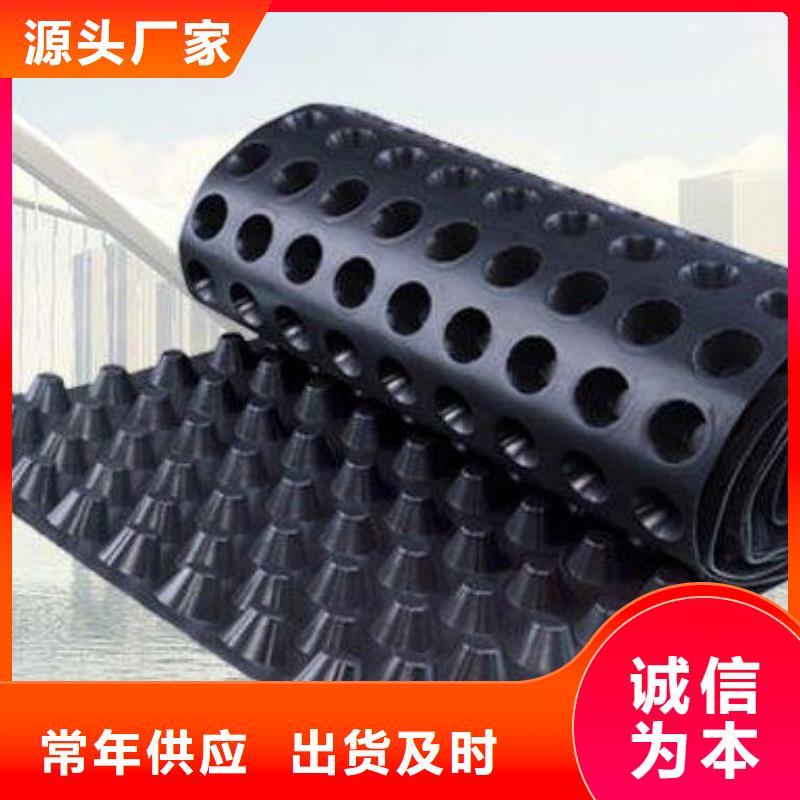 【蓄排水板土工格室应用广泛】
