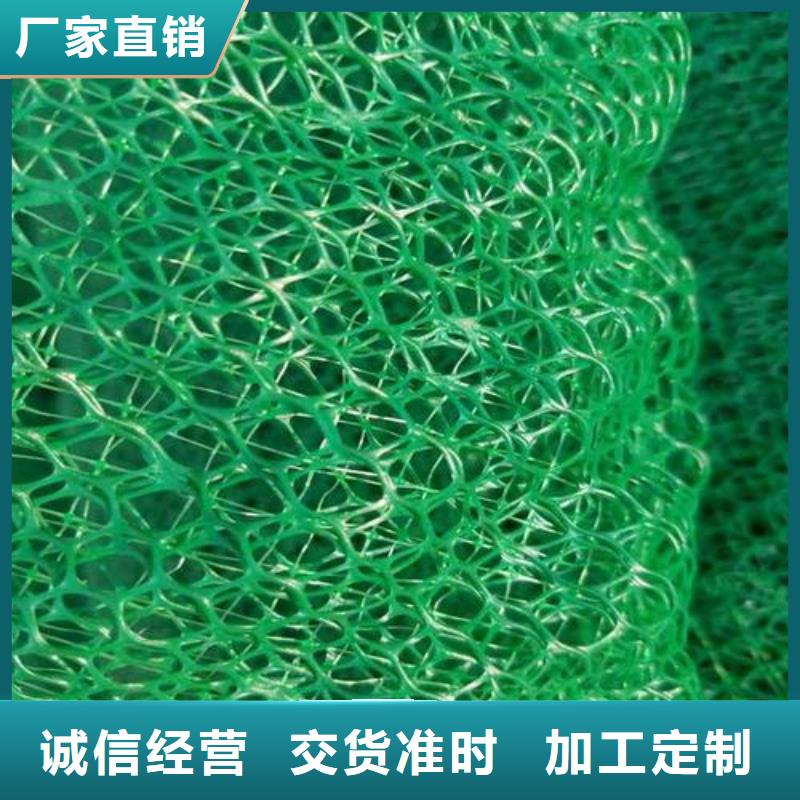 三维植被网水土保护毯厂家品控严格
