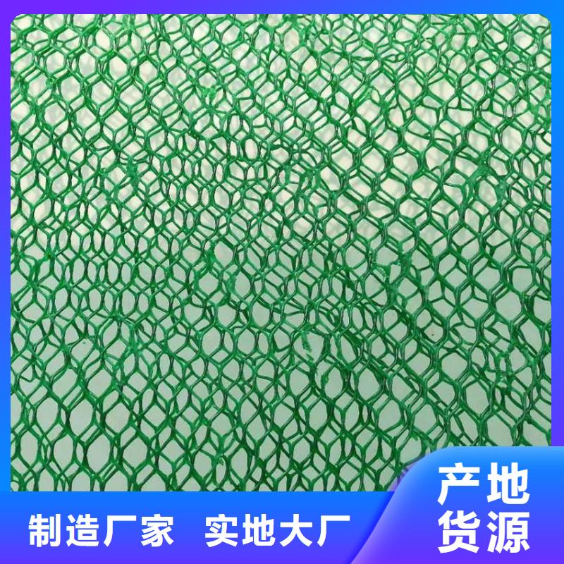 三维植被网_长丝土工布信誉至上