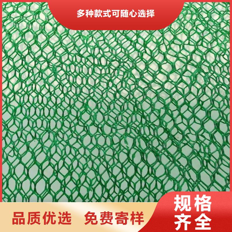 绿色三维网生产三维植被网生产